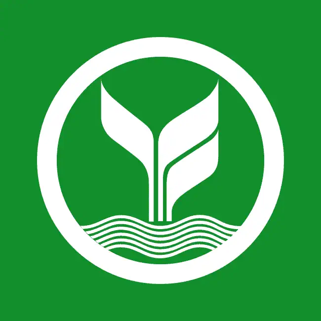 mardibet